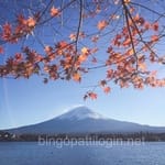 Avatar of Taimoor Rafiq